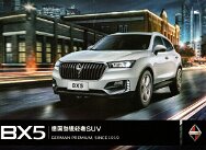 BORGWARD